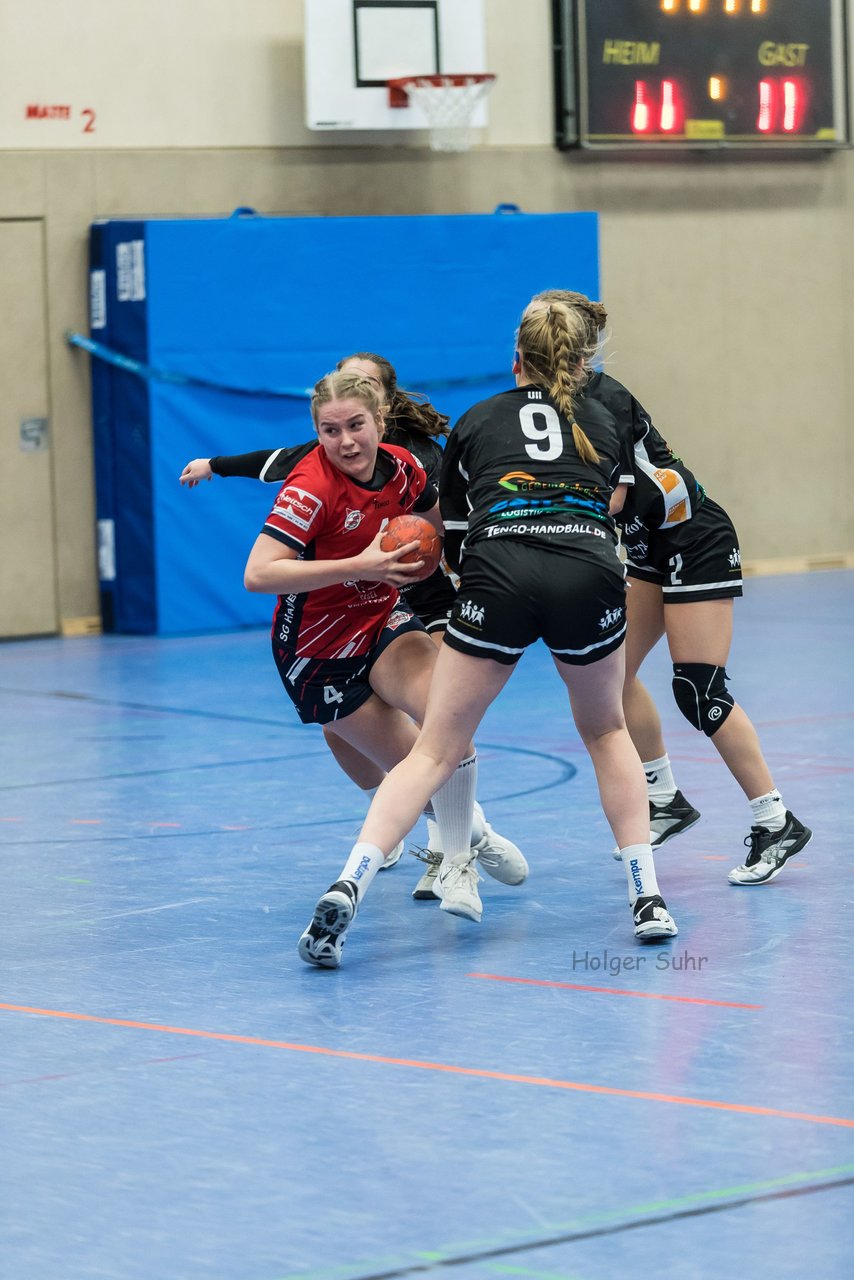 Bild 241 - A-Juniorinnen SG HH Nord - HSG Marne/Brun : Ergebnis: 32:41